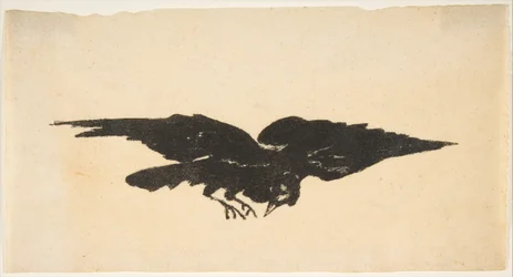 Il Corvo Volante, Ex Libris per Il Corvo di Edgar Allan Poe