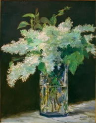 Vaso di fiori, lillà bianchi