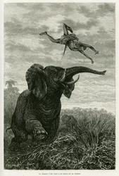 Il cacciatore di Aley lancia un miglio da un elefante. Incisione di Riou per illustrare la storia Les lacs de l