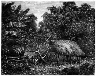 Guyana, Sud America, XIX secolo