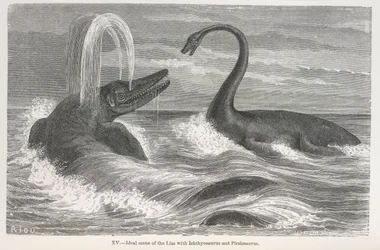 Scena ideale del lias con Ichthyosaurus e Plesiosaurus