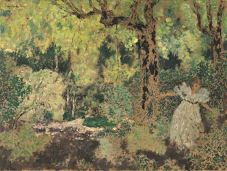 Misia nel bosco