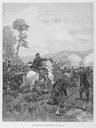 Battaglia di Palestro