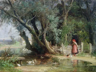 Lo stagno delle anatre