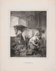 Danese: I Smedien