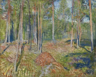 Foresta di pini, 1891-1892
