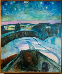 Notte stellata (olio su tela)
