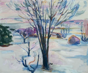 Paesaggio invernale da Jeloya