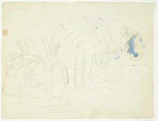 Paesaggio con palme, Cannes