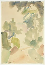 Strada nella foresta. Studio di colore