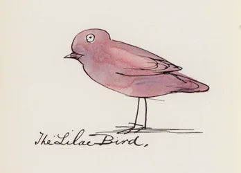 Edward Lear, Il Libro degli Uccelli: L