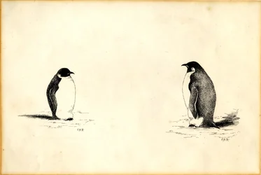 Pinguini imperatore