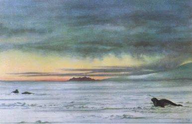Guardando a nord nel McMurdo Sound, da British Adventure pubblicato da Collins, 1947