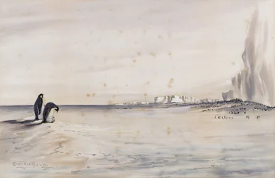 La colonia di pinguini imperatore, Capo Crozier