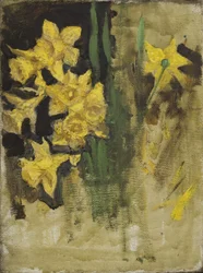 Narcisi