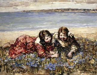 Raccolta di fiori sulla riva del mare