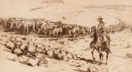 Mandria di sentieri (n. 2)
