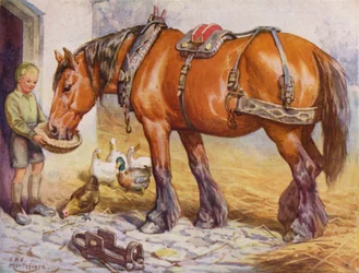 Ragazzo che dà da mangiare a un cavallo in un cortile