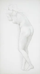 Nudo femminile visto di schiena