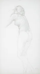 Nudo femminile visto di schiena