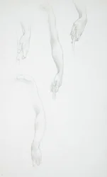 Studi di braccia e mani (recto); Studio di un busto femminile (verso)