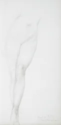 Studio delle gambe femminili