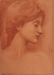 Studio di una testa femminile