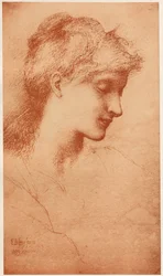 Bellezza, 1887-1889