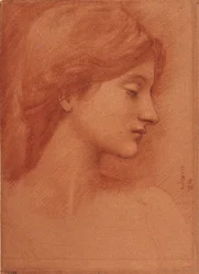 Testa femminile