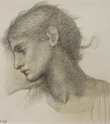 Studio di una testa, per 
