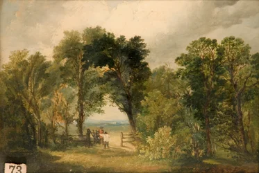 Una radura nel bosco