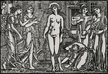 La Corte di Venere