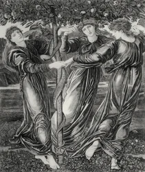 Il Giardino delle Esperidi