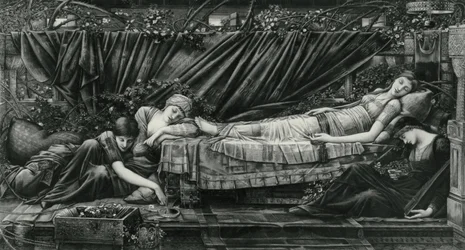 Il Bower della Rosa, dalla serie Briar Rose