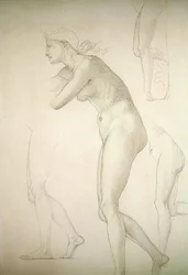Galatea (matita su carta)