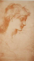 Testa di una giovane donna