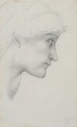 Testa