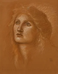 Testa di donna, 1890