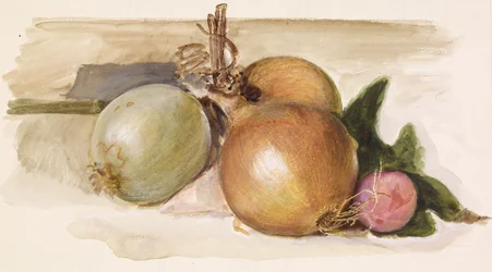 Natura morta - Studio di cipolle, 1871-75