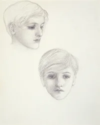Studi del figlio dell