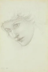 Studio per la Testa di una Sirena