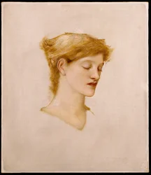 Testa di donna