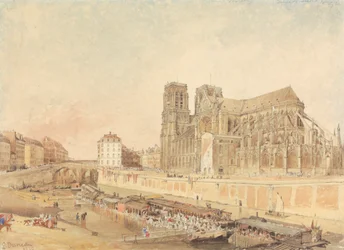 Notre Dame, Parigi, dalla riva sinistra