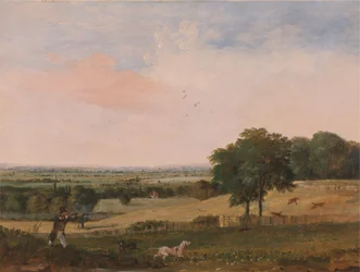 Tiro alla pernice