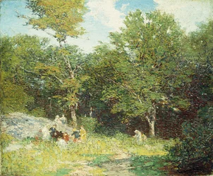 Raccogliendo fiori