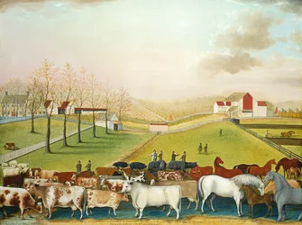 La fattoria Cornell