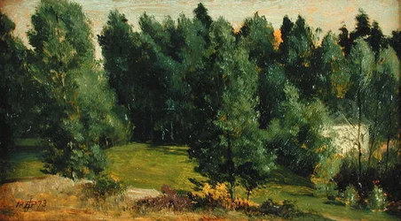 Paesaggio boscoso