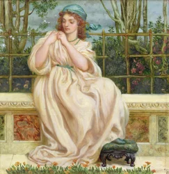 Il Nodo