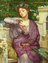 Immagine sconosciuta