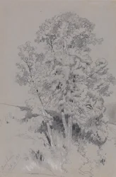 Burpham 4 ottobre 1834